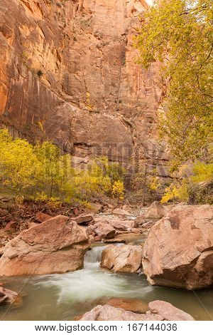 a scenic landscape of the Virgin River in fall in Zion National Park Utah