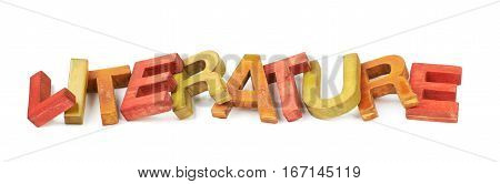 Word Literature made of colored with paint wooden letters, composition isolated over the white background
