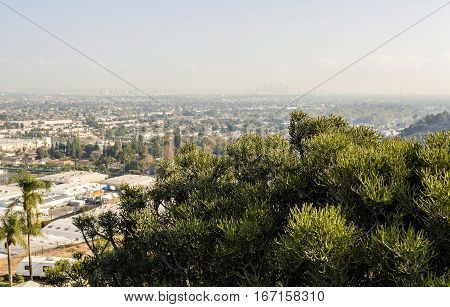 Los Angeles Cityscape W8A0354