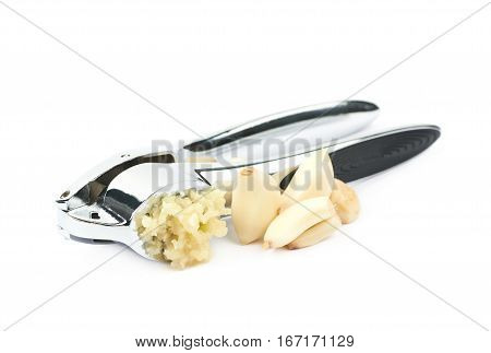 Metal garlic press utensil next to a pile of fresh cloves isolated over the white background