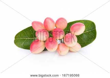 Close up of Carunda or Karonda on a white background