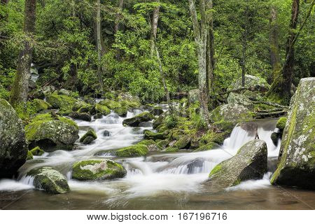 Relaxing Roaring Fork Creek along the Roaring Fork Motor Tour in the Great Smoky Mountains National Park Tennessee USA