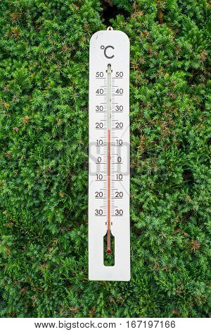 Thermometer on the green fern leave wall