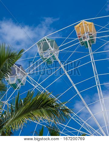 White Ferris wheel against blue sky with clouds and palm trees in foreground