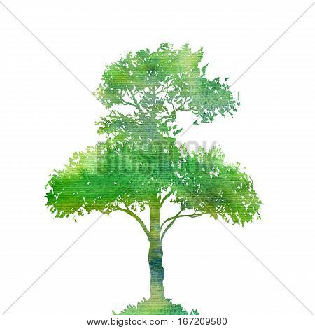 silhouette of green tree with leaves drawing in watercolor, hand drawn illustration