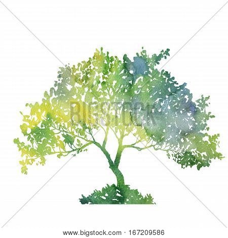 silhouette of green tree with leaves drawing in watercolor, hand drawn illustration
