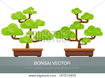 bonsai two style in pot japanese style
