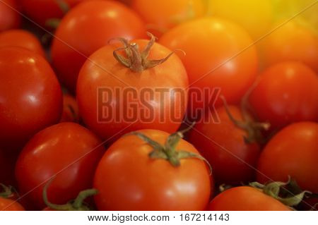 fresh tomatoes vetgetable, salad and food for strong health