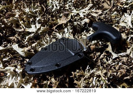Urban Knife In Case On Dry Grass. Cold Temperature.