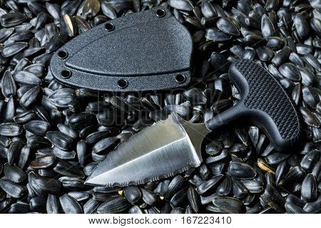 Urban Knife With Case On Sunflower Seed.. Diagonal Position.