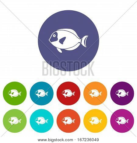 Surgeon fish set icons in different colors isolated on white background