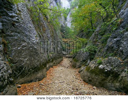Garganta.