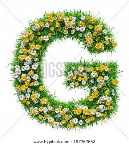 Letter G Of Green Grass And Flowers. Isolated On White Background. Font For Your Design. 3D Illustration