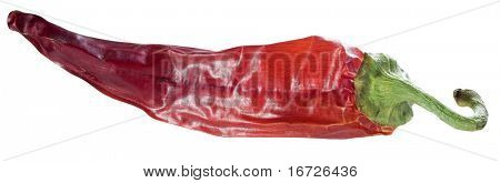 Red hot chilli pepper.