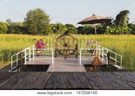 Walkway To Terrace In Sunhemp Pummelo Flower Filed (blur Image) With Selected Fccus Wood Table For D