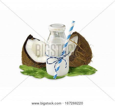 milk of coconut and fresh coconuts isolated on white background. Сoconut with copy space for text.
