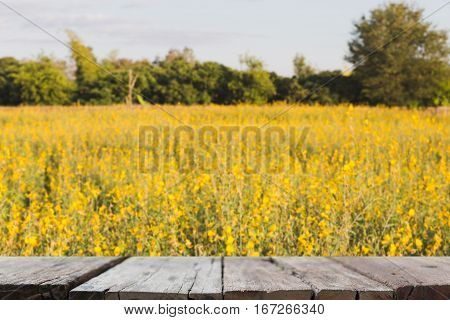 Sunhemp Flower Filed ,pummelo (blur Image) With Selected Fccus Wood Table For Display Your Product