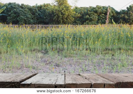Sunhemp Flower Filed ,pummelo (blur Image) With Selected Fccus Wood Table For Display Your Product