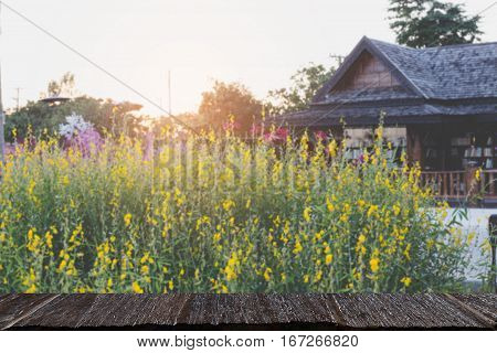 Sunhemp Flower Filed ,pummelo (blur Image) With Selected Fccus Wood Table For Display Your Product