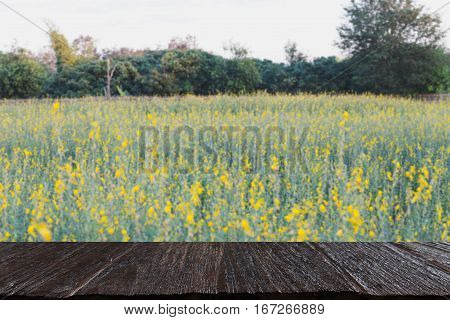 Sunhemp Flower Filed ,pummelo (blur Image) With Selected Fccus Wood Table For Display Your Product