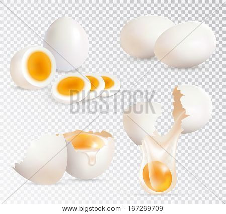 Realistic set of hard boiled and uncooked eggs isolated on transparent background vector illustration