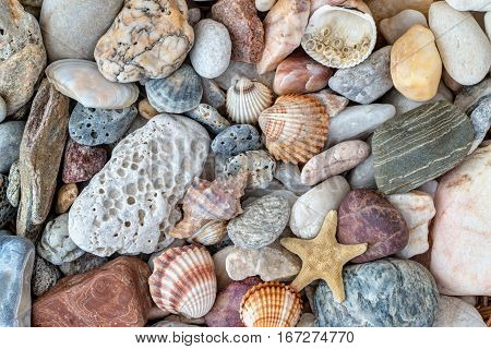 Abstract detail of the shells starfish and sea pebble stones