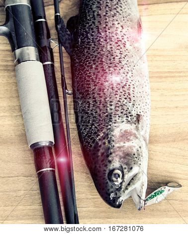 Fresh Rainbow Trout Closeup,soft Lighting Effect.