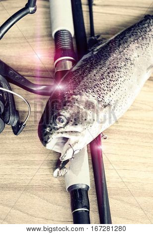 Fresh Rainbow Trout Closeup,soft Lighting Effect.