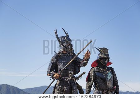 Samurai Warriors