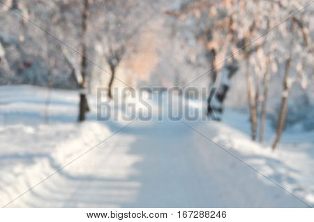 Wiinter blurred background of trees and snow