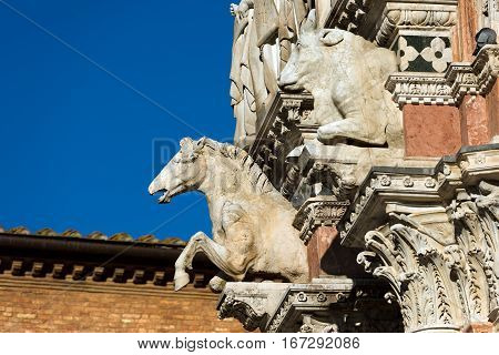 Detail of the facade of the Siena Cathedral (Santa Maria Assunta) 1220-1370. Toscana (Tuscany) Italy Europe