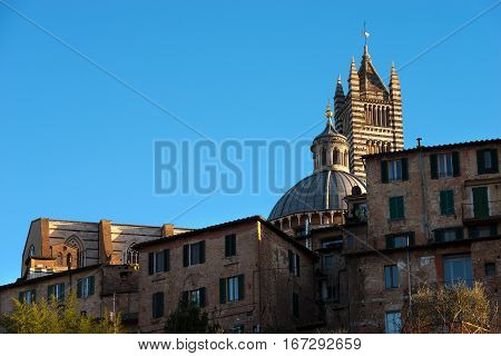 Detail of Siena Cathedral (Santa Maria Assunta) 1220-1370 in the evening. Toscana (Tuscany) Italy Europe