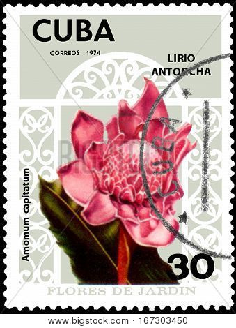 CUBA - CIRCA 1974: Postage stamp printed in Cuba shows Amomum capitatum, series garden flowers