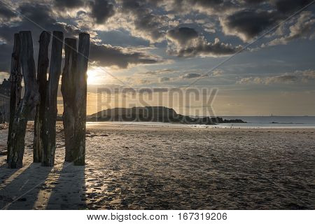 Shadows of tree trunks breakwater on sandy beach in Saint-Malo, Bretagne France