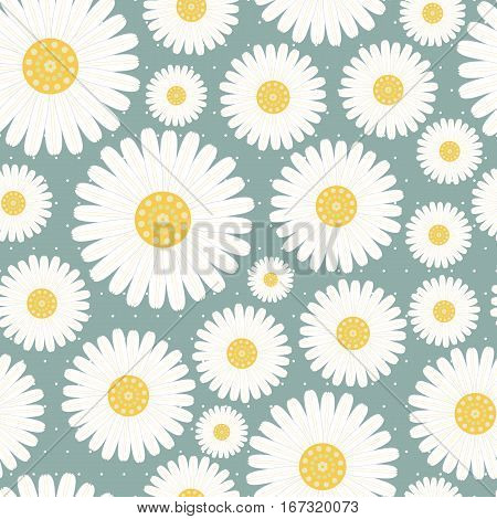 seamless pattern with daisies-vector illustration. Daisy print gentle.