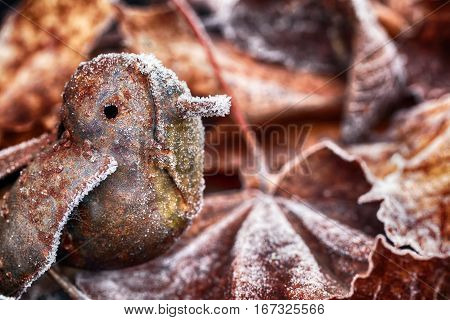Cute frosty little metal bird amongst the frozen leaves of winter
