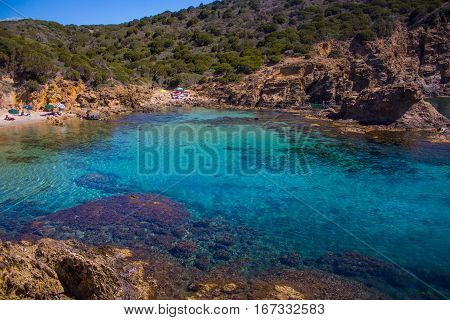 Sardinia beatifull bay crystal water with rock and tree