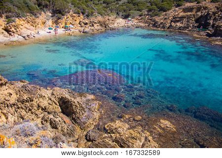 Sardinia beatifull beach crystal water with rock and tree