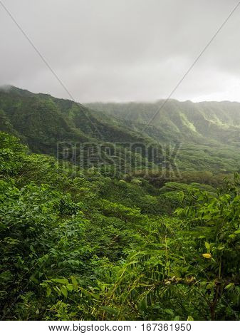 The lush green Manoa Valley located on Oahu in Hawaii was a filming location for Jurassic Park.