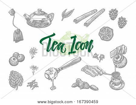 Sketch tea icons set with natural herbal fruit berry ingredients and equipment isolated vector illustration