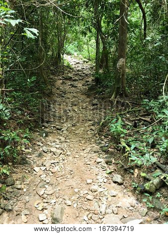 close up walkway in Khao Chamao , Rayong , Thailand