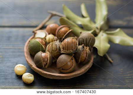 Macadamia nuts in shell on wooden table