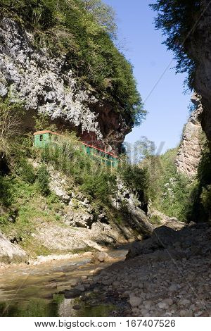 Rock of the Guam gorge is forested.The Caucasus. Russia