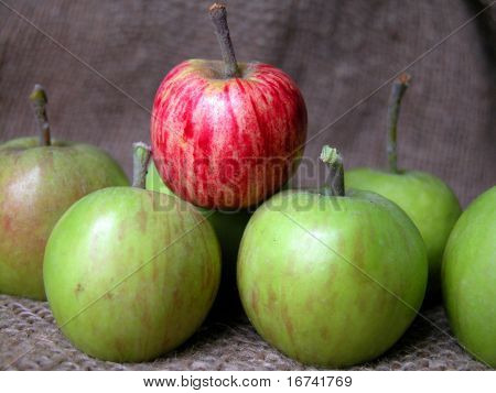 æbler