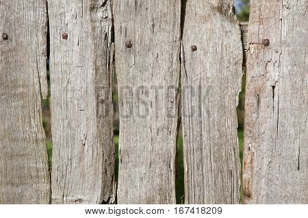 Old weatherd wooden grey fence background with gaps