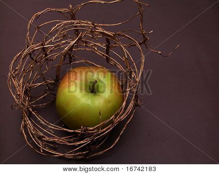 Apple