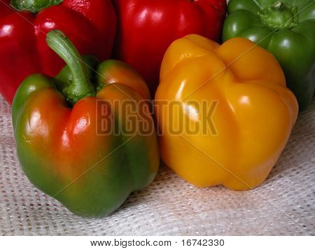 Paprika