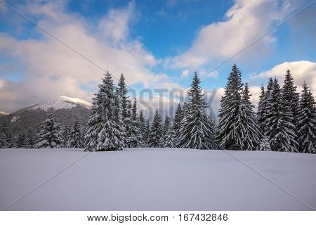 Alpine meadow after snowfall at magic winter evening.