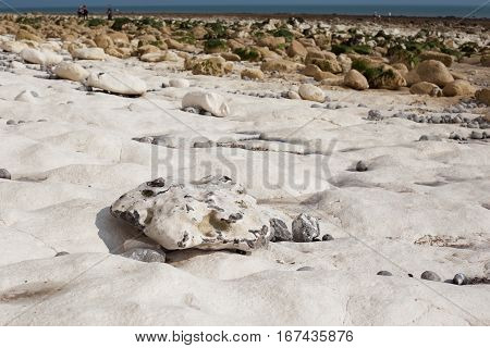 Low tide Seven Sisters National park East Sussex UK chalk coastline