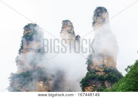 Photo of Beautiful Rock Mountains with Green Trees Surrounded by White Mist Clouds. Green Mountain Landscape